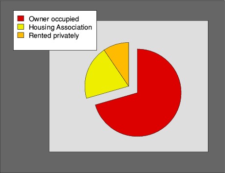 demographics