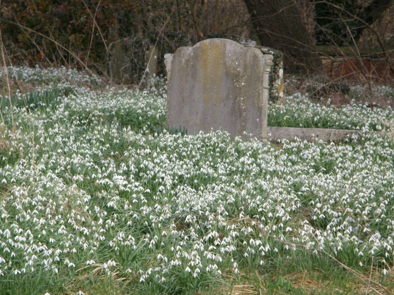P3011212
