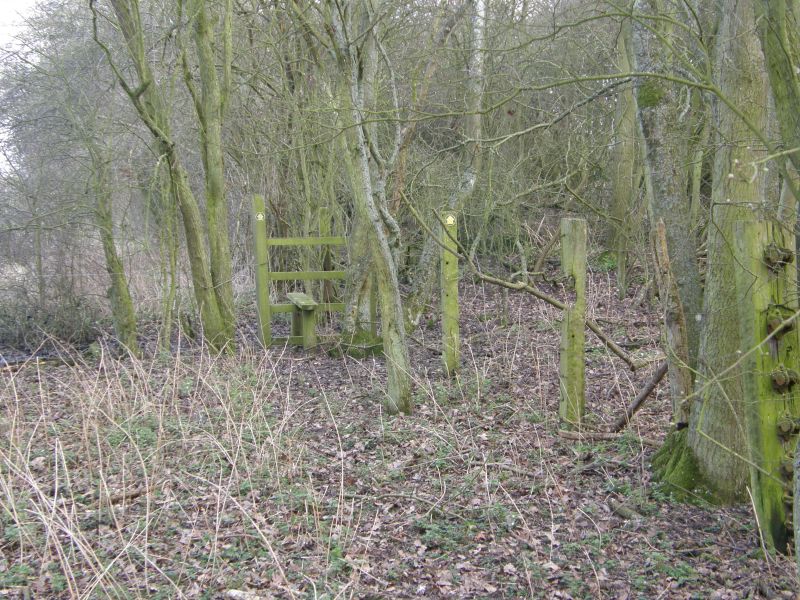 P3011237