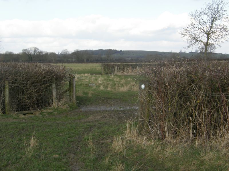 P3011250