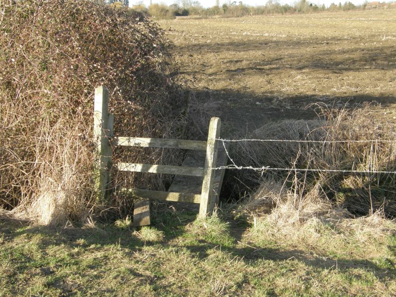 P3011274