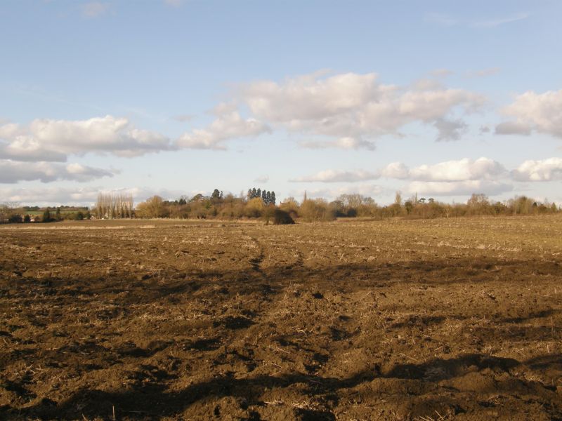 P3011276
